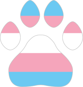 Trans Paw